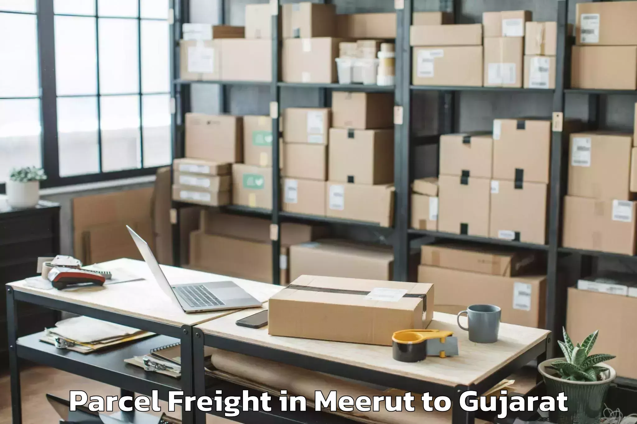 Comprehensive Meerut to Gsfc University Vadodara Parcel Freight